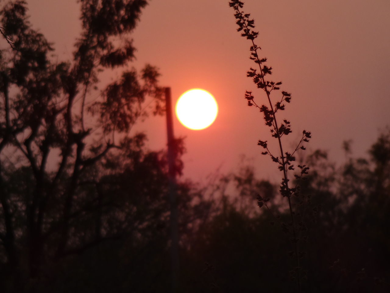 Fire station , hayath nager