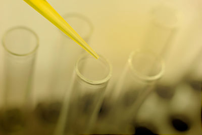 High angle view of drinking glasses on table