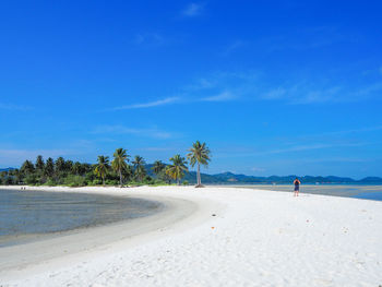 Scenic view of beach against blue sky