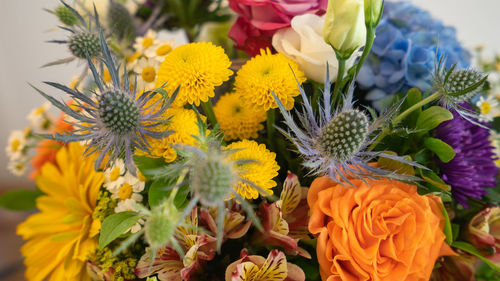 High angle view of various flowers on plant