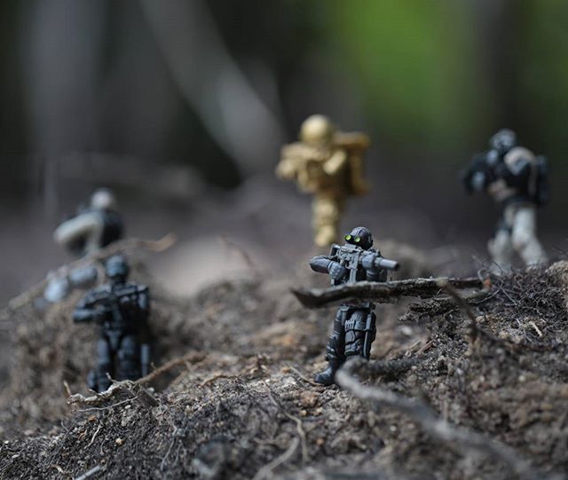 selective focus, focus on foreground, close-up, damaged, abandoned, nature, wood - material, day, outdoors, dry, no people, forest, field, broken, obsolete, dirt, surface level, leaf, twig, ground