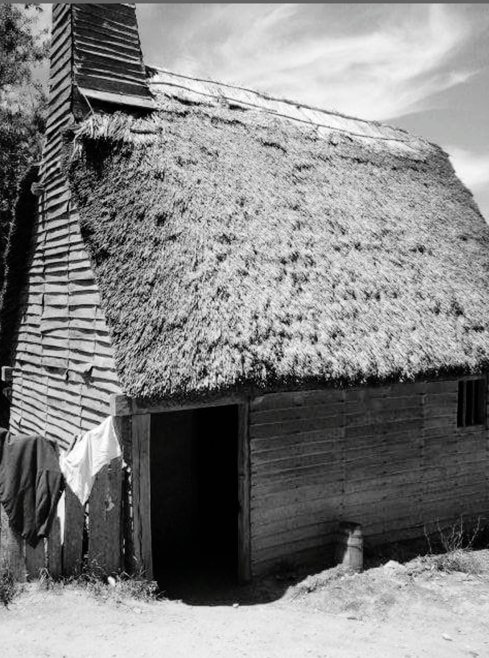 built structure, building exterior, architecture, house, roof, outdoors, thatched roof, day, tree, no people, nature, sky