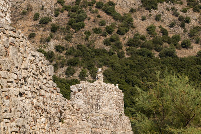 View of stone wall with trees in the background