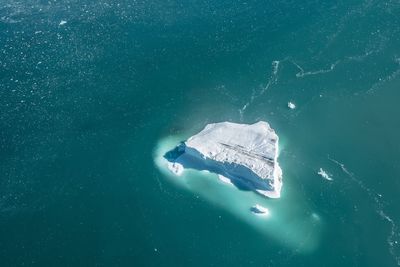 High angle view of turtle swimming in sea