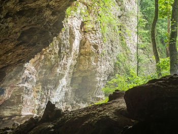 Scenic view of waterfall in forest