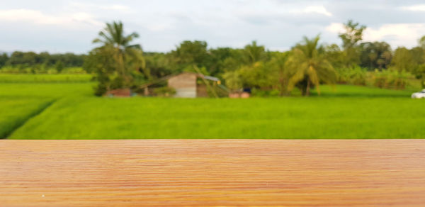 Scenic view of farm against sky