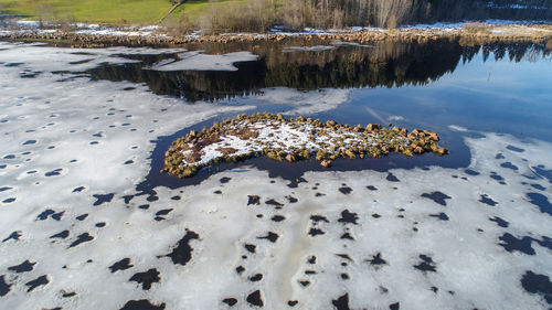 Aerial view of turtle in lake