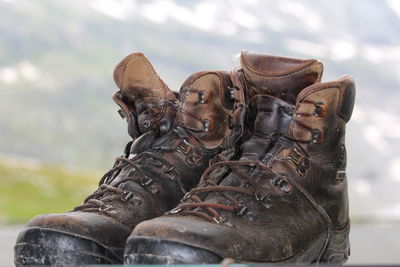 Close-up of trekking feed