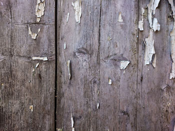 Full frame shot of weathered wooden wall