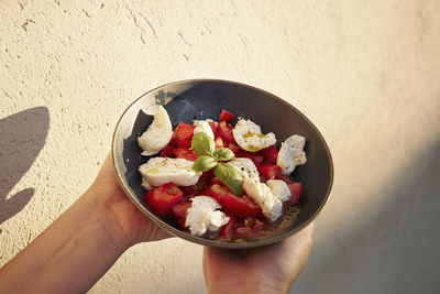Hands holding bowl with tomatoes and mozzarella