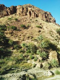 View of rock formation