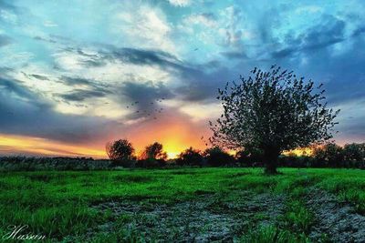 Scenic view of field against dramatic sky