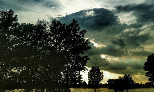 Low angle view of silhouette trees against sky at sunset