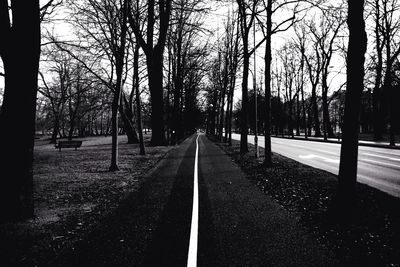 Empty road along trees