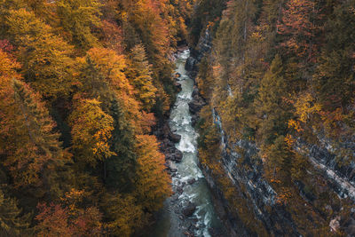 Aerial top down image of a creek in a gorge winding through colorful forest in autumn