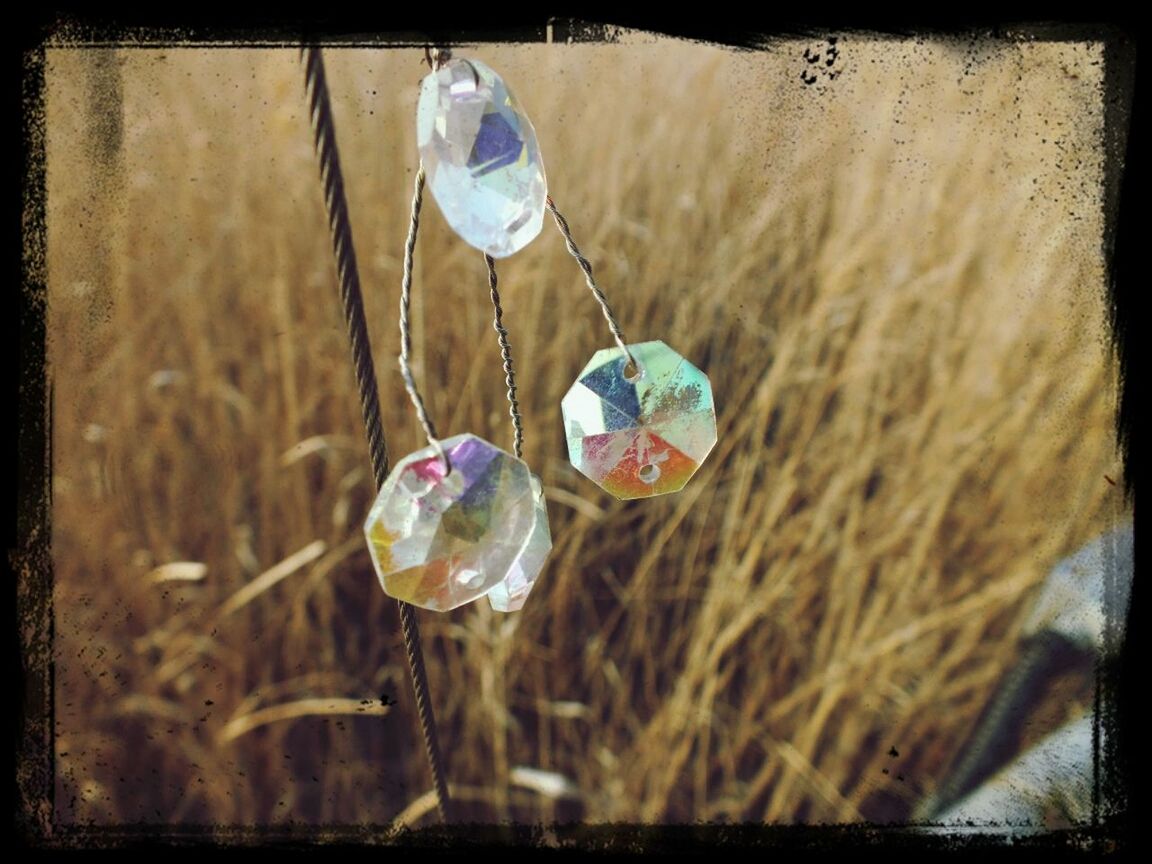 water, transfer print, transparent, bubble, close-up, auto post production filter, focus on foreground, reflection, fragility, drop, mid-air, glass - material, selective focus, sphere, no people, day, freshness, nature, purity, blue