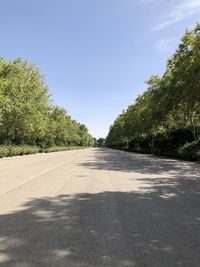 Road amidst trees against sky