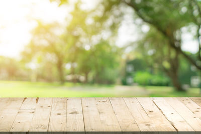 Surface level of footpath in park