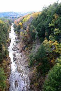 Scenic view of waterfall in forest against sky