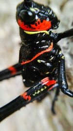 Close up of multi colored wall
