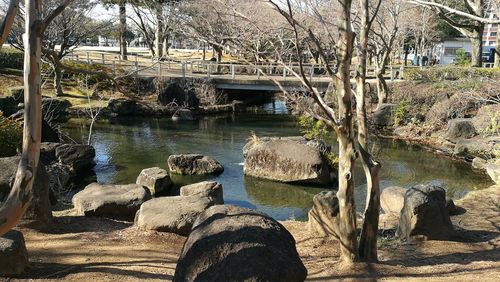 Scenic view of river by trees