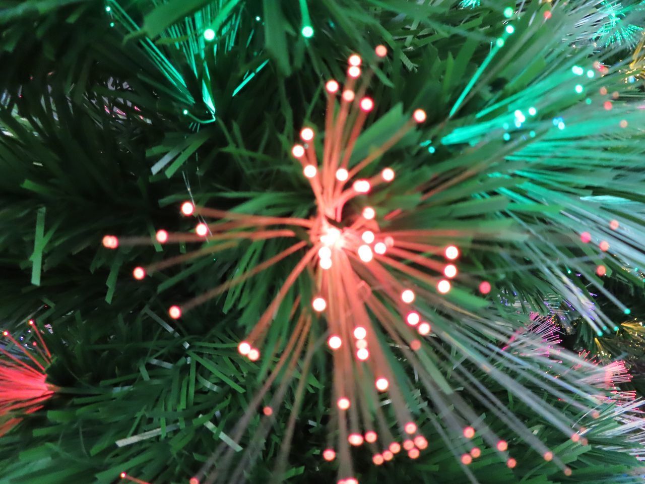 CLOSE-UP OF CHRISTMAS TREE WITH LEAVES