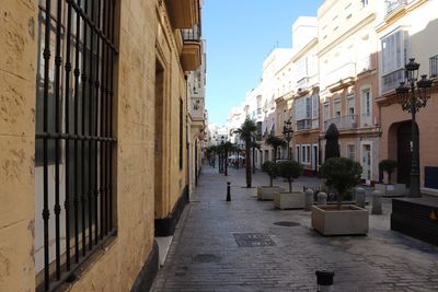 Alley amidst buildings in city