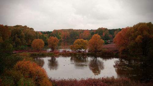 Reflection of trees in lake