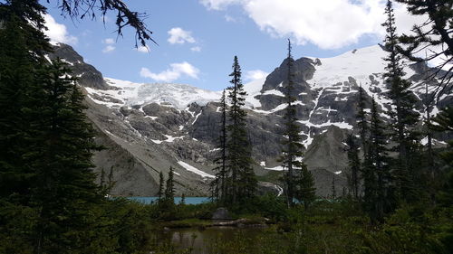 Low angle view of trees and mountains against sky