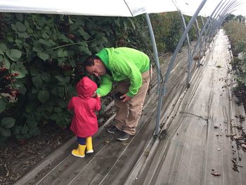 Full length of father standing with child in greenhouse