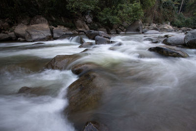 Scenic view of waterfall in forest