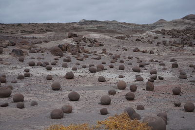 Surface level of stones on landscape
