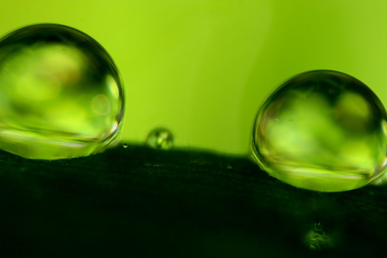 close-up, transparent, glass - material, drop, water, studio shot, reflection, freshness, indoors, fragility, green color, focus on foreground, bubble, sphere, glass, drinking glass, still life, refreshment, purity, wet
