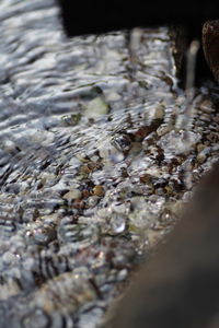 Close-up of rippled water