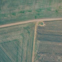 Full frame shot of agricultural field