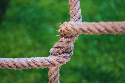 Close-up of rope tied outdoors