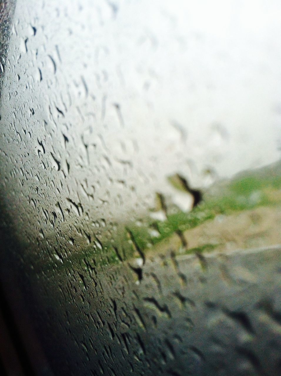 close-up, selective focus, focus on foreground, drop, wet, wall - building feature, textured, leaf, day, old, built structure, no people, water, outdoors, weathered, detail, rain, text, wall, architecture