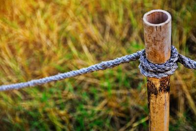 Close-up of rope on wooden fence