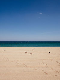 Scenic view of beach against clear blue sky