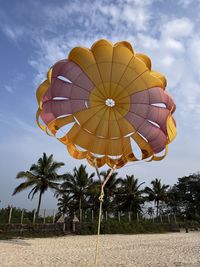 Low angle view of hot air balloon against sky