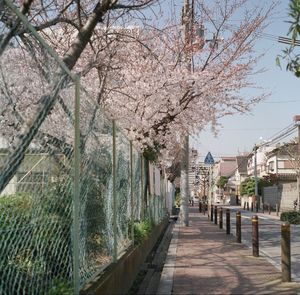 Footpath leading to building