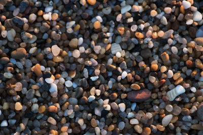 Full frame shot of pebbles