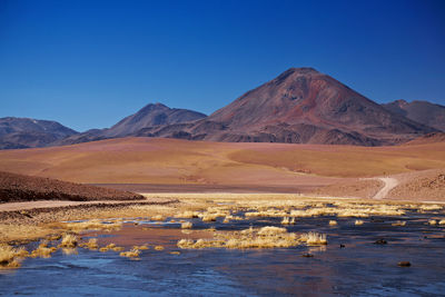 Scenic view of desert against clear blue sky