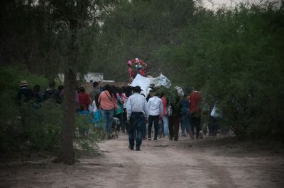 People walking on street amidst trees in forest