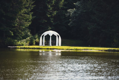 Scenic view of lake in forest