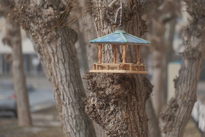 Close-up of birdhouse on tree trunk