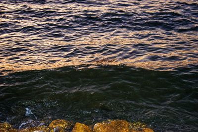 High angle view of sea waves