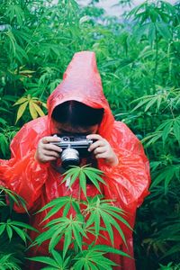 Woman wearing raincoat while photographing cannabis plants on land