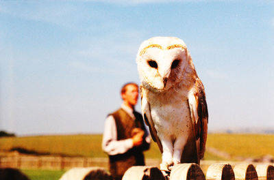 Close-up of owl against clear sky