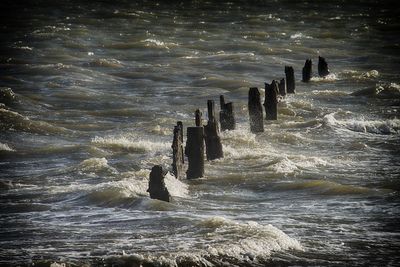 Wooden posts in sea